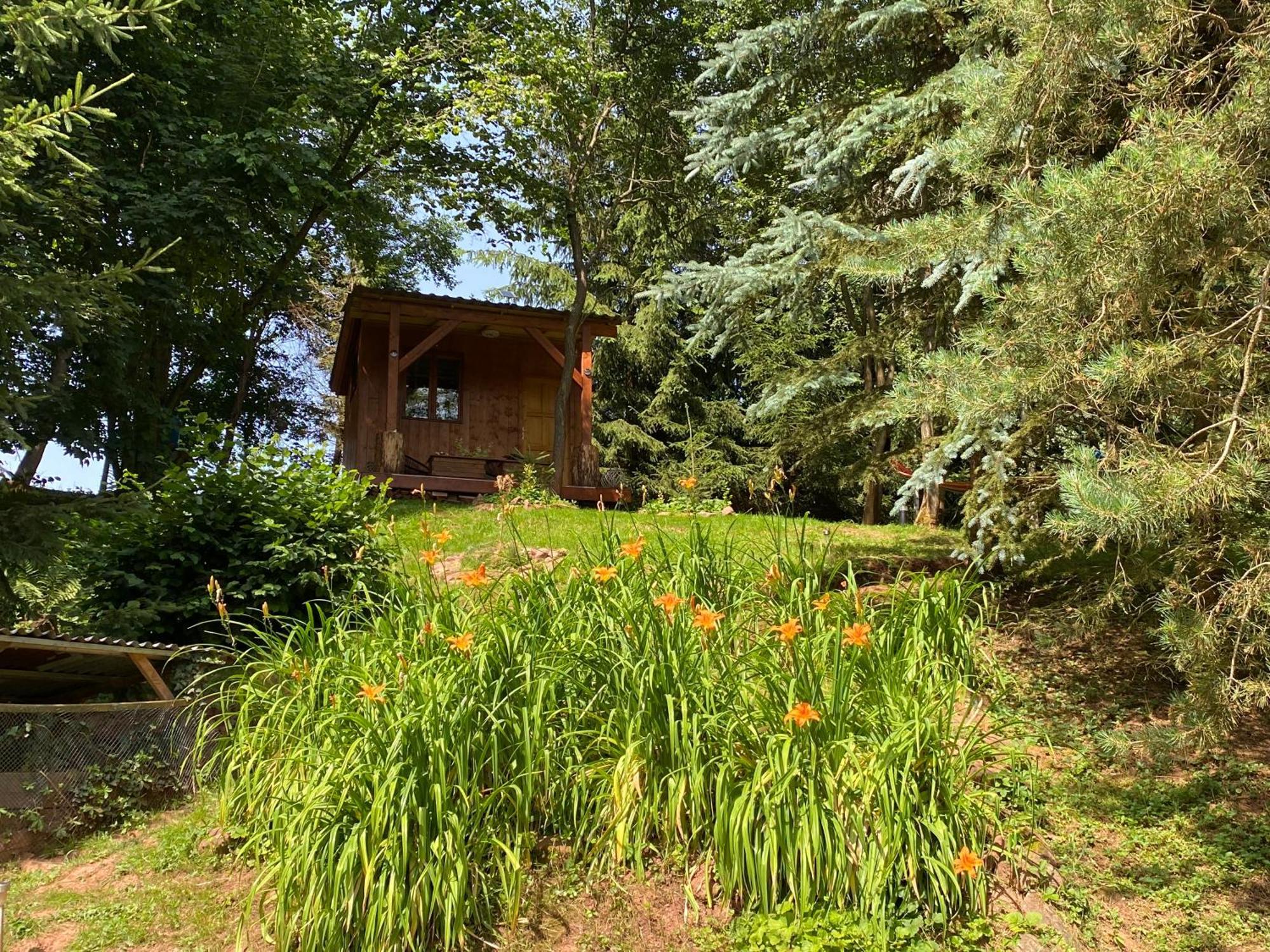 Kottwitz Tiny Resort Chotevice 1 מראה חיצוני תמונה